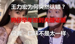 王力宏狗仔爆料视频,揭秘明星私生活背后的真相
